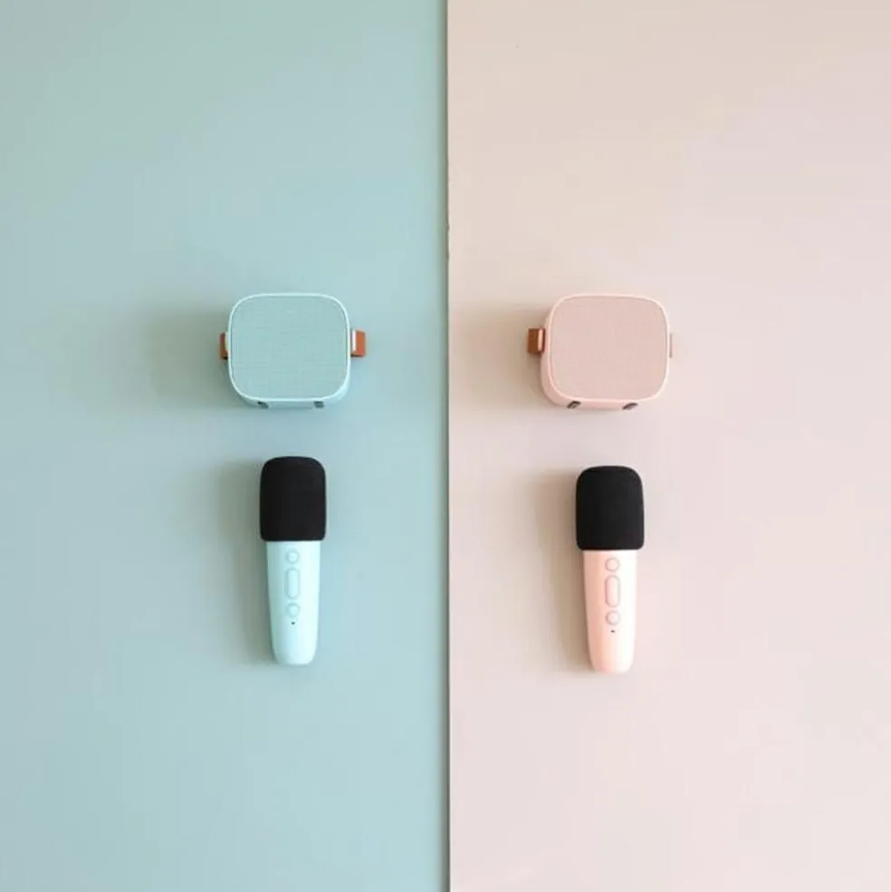 Boîte karaoké enceinte et micro Rose