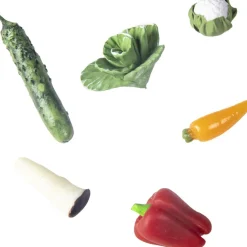 Bouteille sensorielle Learn bottle Veggies