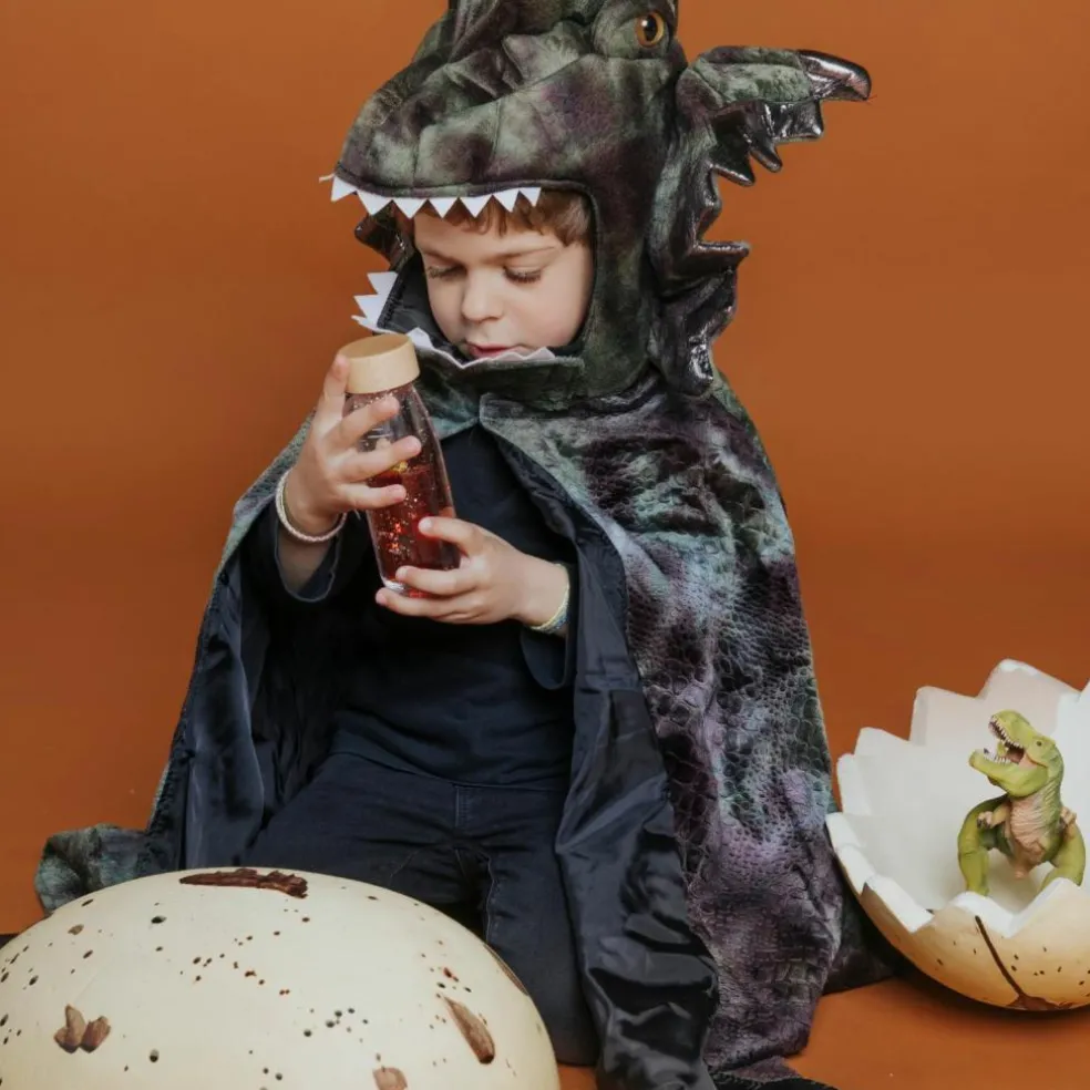 Bouteille sensorielle Move T-Rex