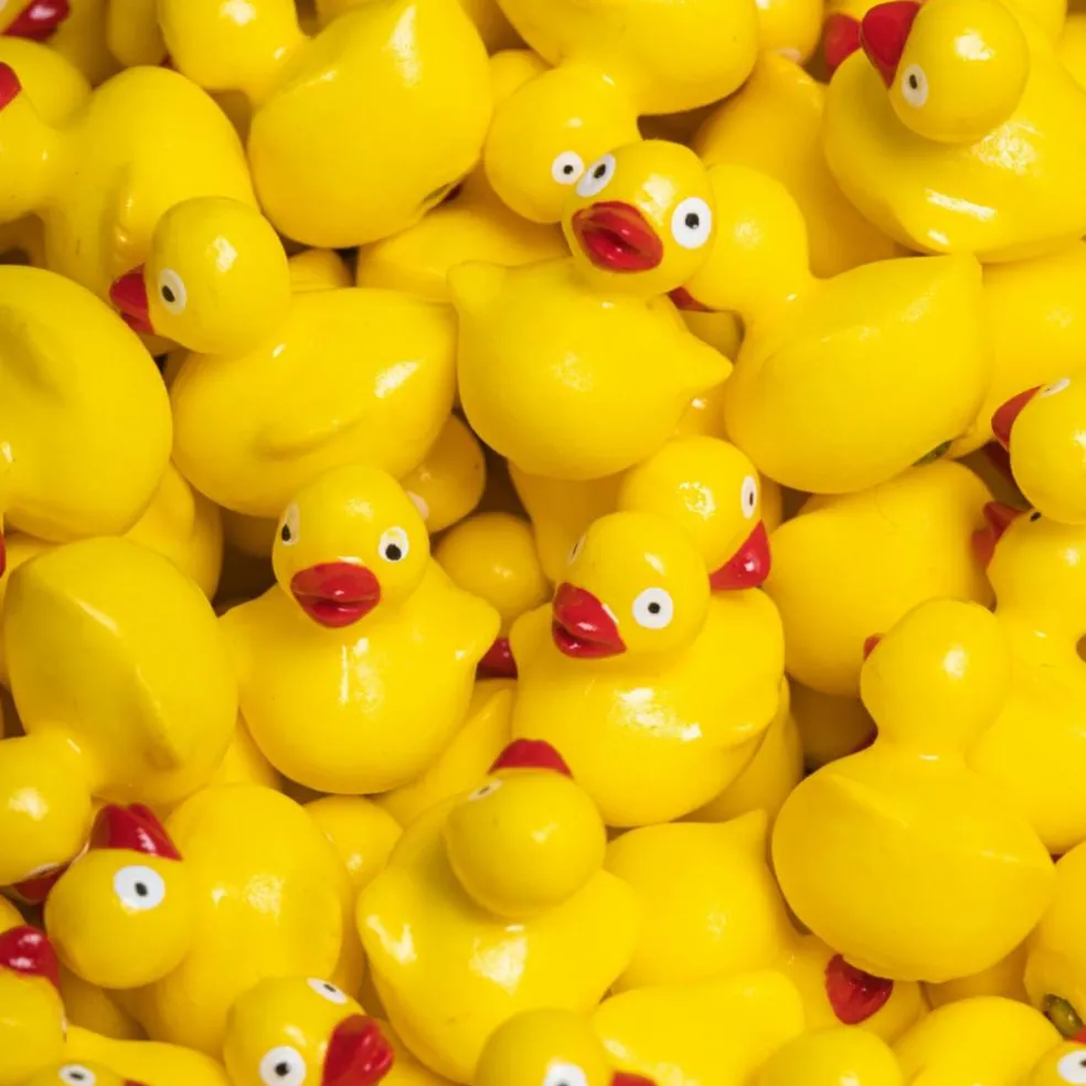 Bouteille sensorielle Move Ducky