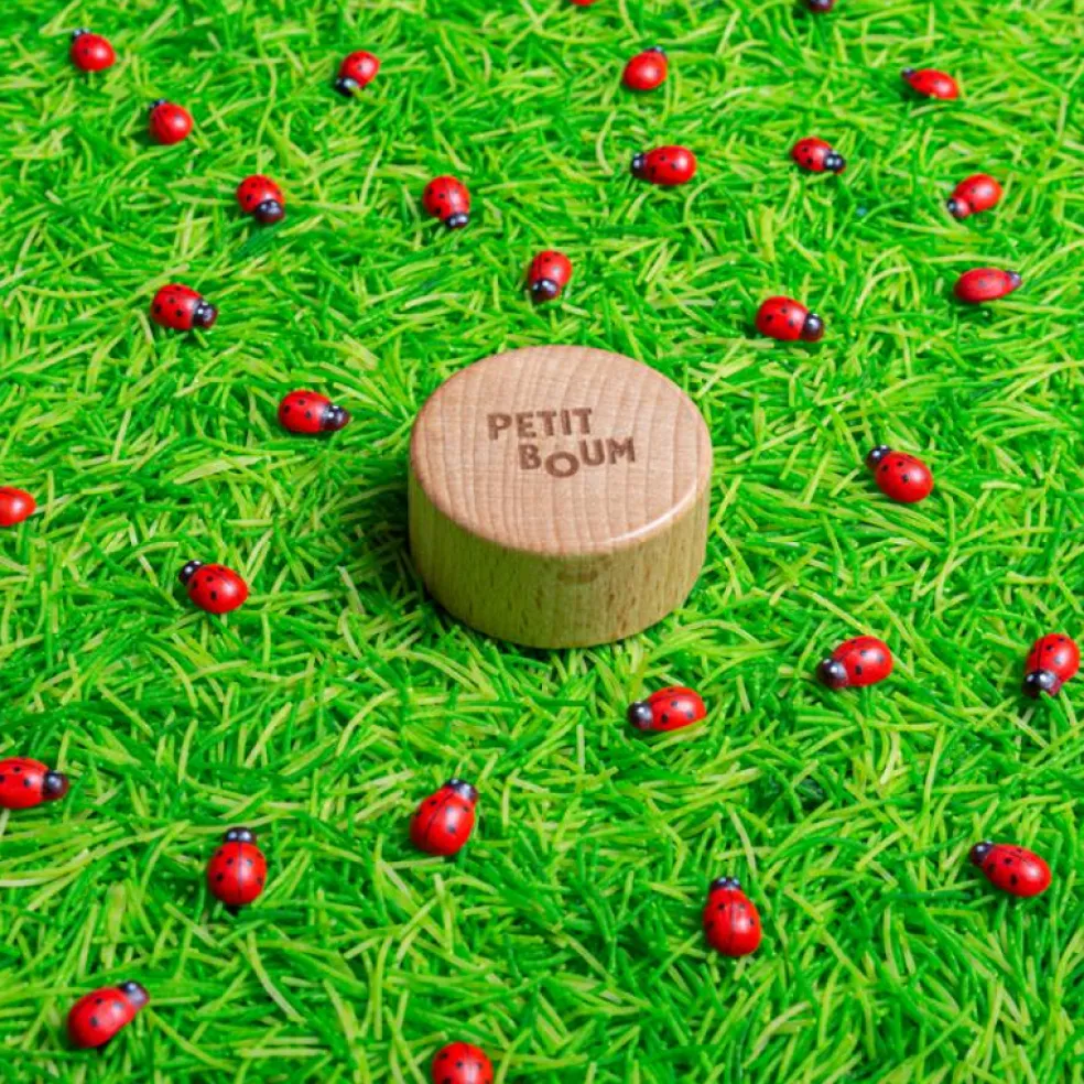 Bouteille sensorielle Sound Coccinelles