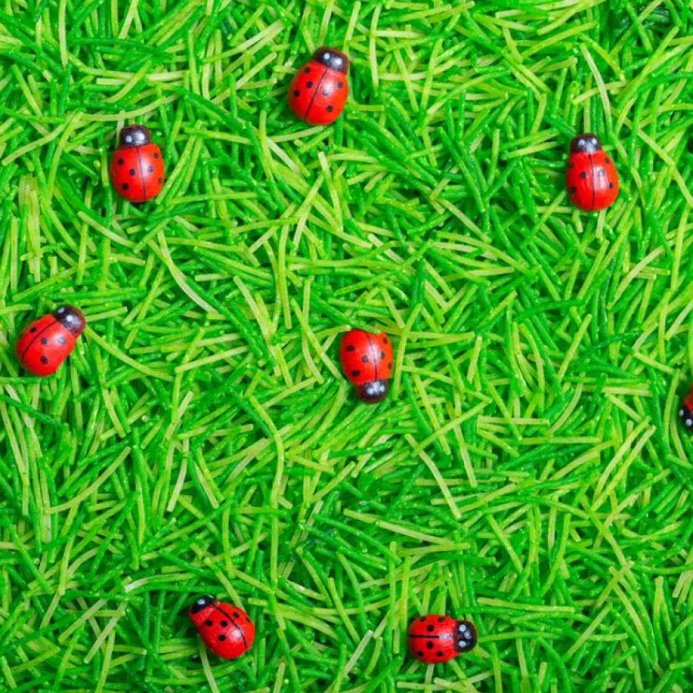 Bouteille sensorielle Sound Coccinelles