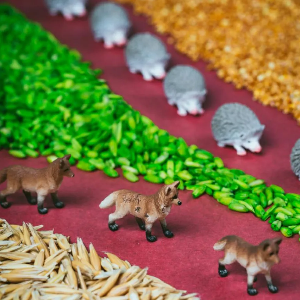 Bouteille sensorielle Spy Forest