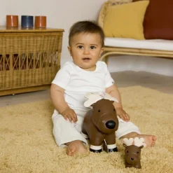 Bruce l'Elan musical