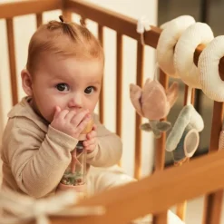 Bâton de pluie Lovely Birds