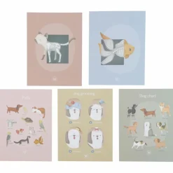 Cabinet de vétérinaire en bois FSC