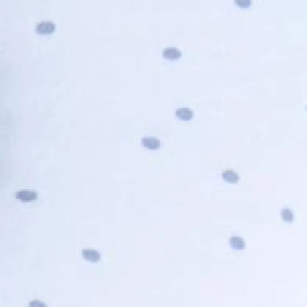 Cale bébé Panda Pad Premium