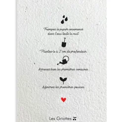 Carte à planter A5 Merci