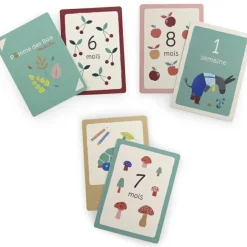 Cartes Mes 12 premiers mois Pomme des Bois
