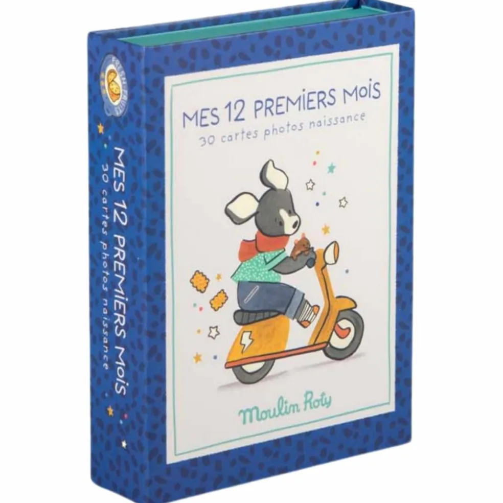 Cartes Mes 12 premiers mois Puce et Pilou