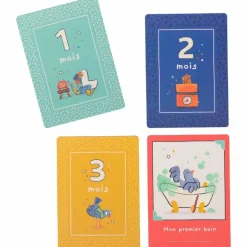Cartes Mes 12 premiers mois Puce et Pilou