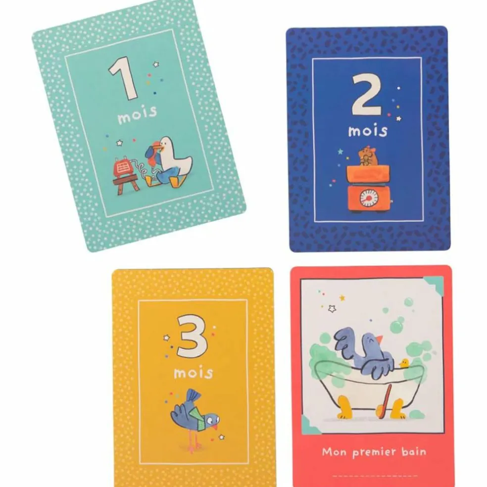 Cartes Mes 12 premiers mois Puce et Pilou