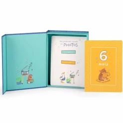 Cartes Mes 12 premiers mois Puce et Pilou