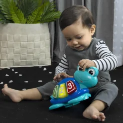 Centre d'activités à rebond Ocean Explorer Curiosity Cove