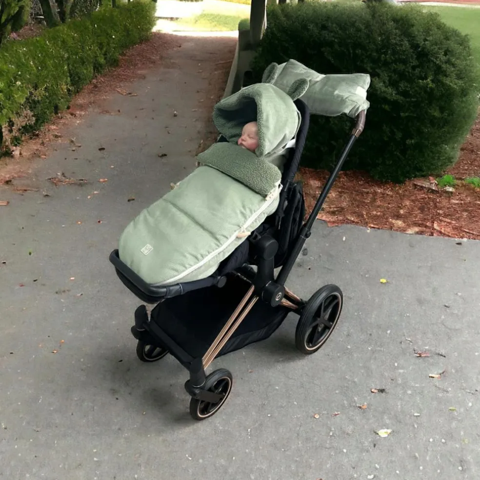 Chancelière d'hiver Hau Kea mineral green