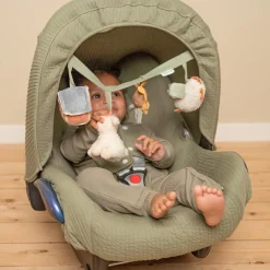 Chaîne d'activités pour poussette Little Farm