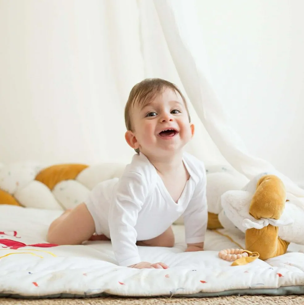 Ciel de lit Cache-cache en forêt (260 cm)