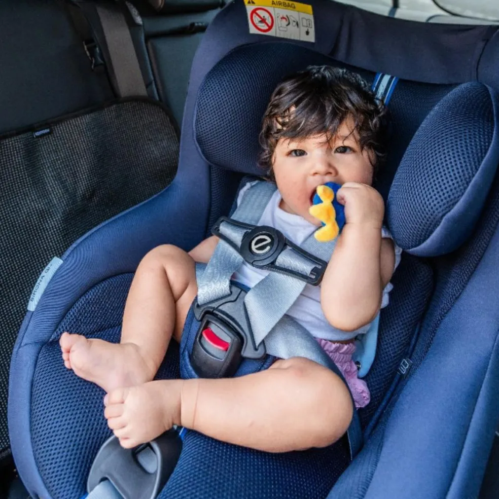 Clip de sécurité pour harnais