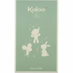 Coffret de naissance chaussons et bracelet sonore Lapin