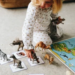 Coffret Giga Mondy (600 cartes Montessori pour développer le langage)