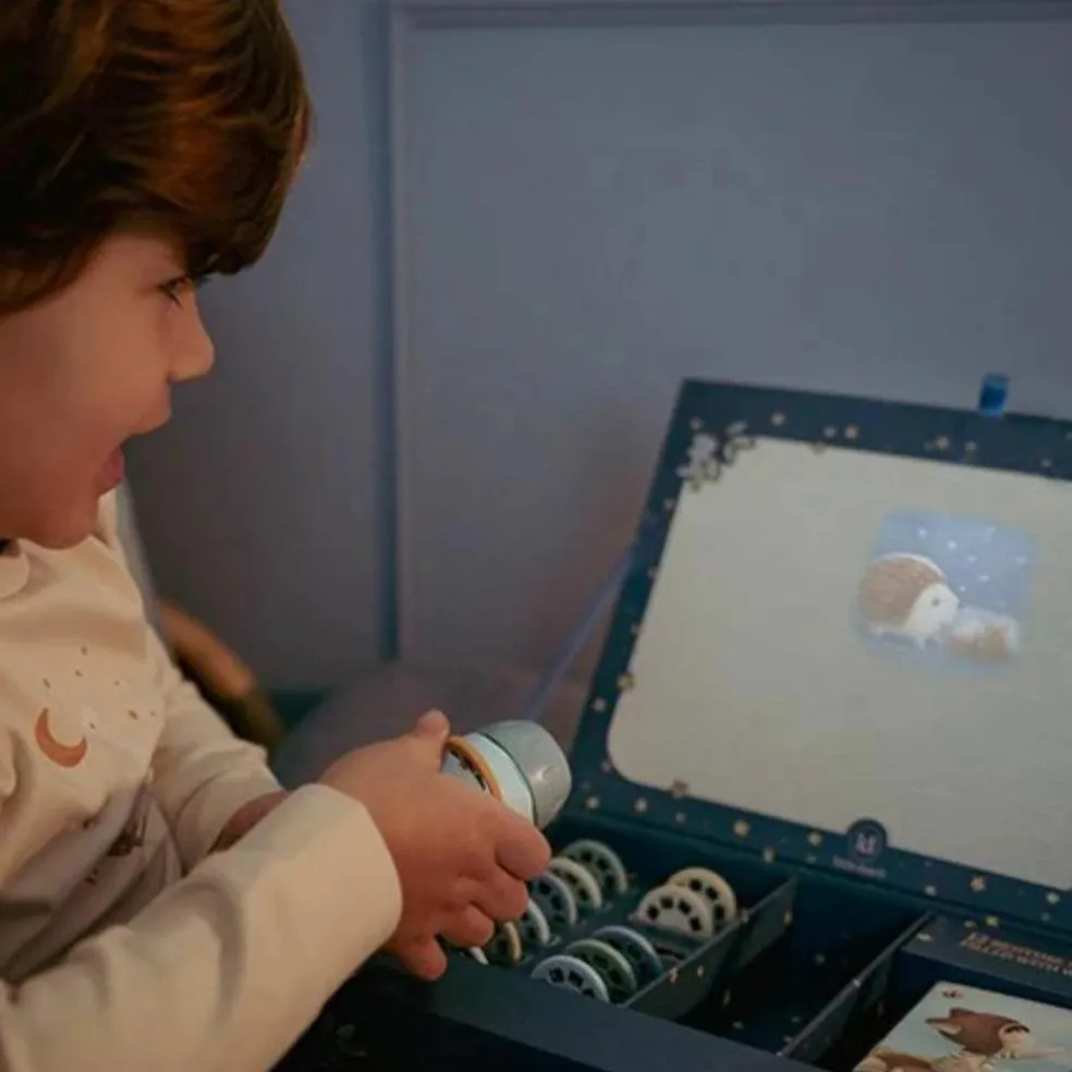 Coffret lampe à histoires Forest Friends