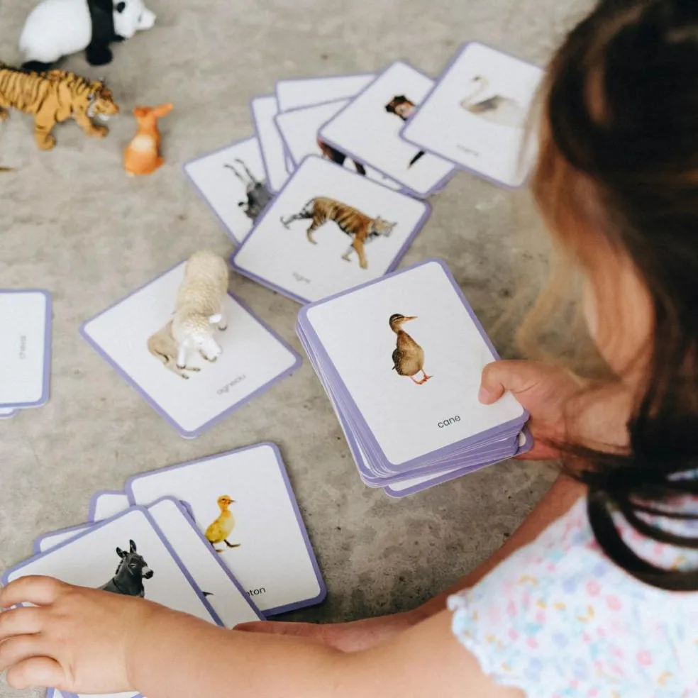 Coffret Mini Mondy (jeu de langage autour des animaux)