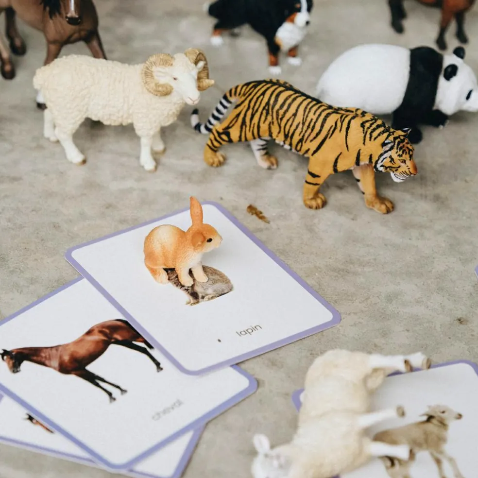 Coffret Mini Mondy (jeu de langage autour des animaux)