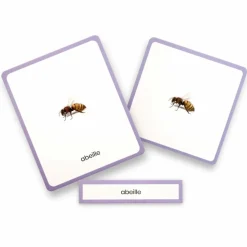 Coffret Mini Mondy (jeu de langage autour des animaux)