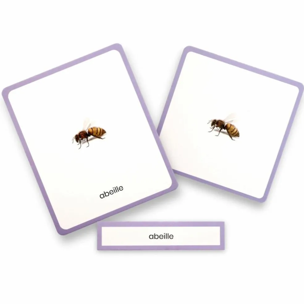 Coffret Mini Mondy (jeu de langage autour des animaux)