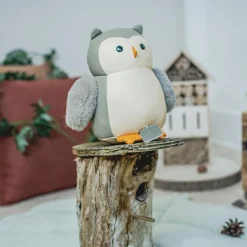 Colette la Chouette Les Animaux Musicaux