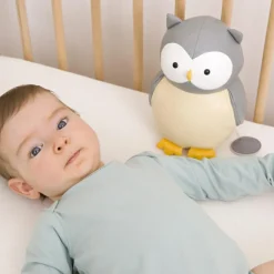 Colette la Chouette Les Animaux Musicaux