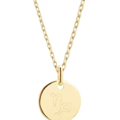 Collier chaîne médaille Capricorne personnalisable (plaqué or)
