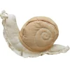 Coussin escargot Lazy Snail (40 x 22 cm)