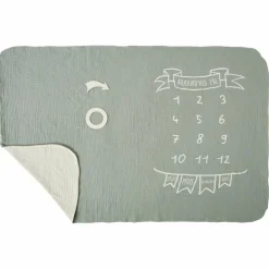 Couverture décor pour photos avec 2 accessoires rayé vert de gris