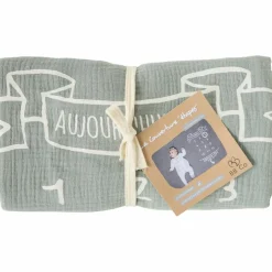 Couverture décor pour photos avec 2 accessoires rayé vert de gris