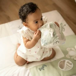 Cube d'activités Animals Laurel