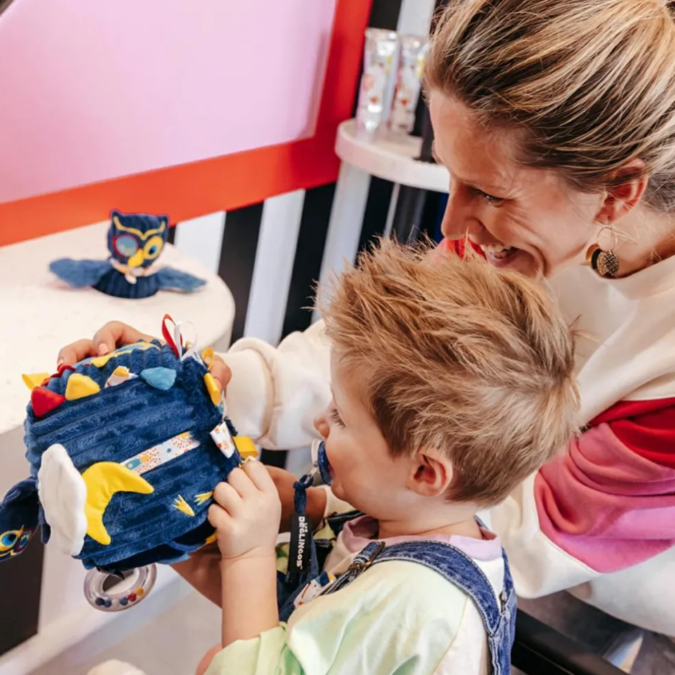 Cube d'activités Astros le Hibou