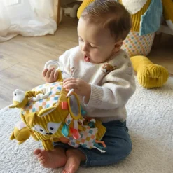 Cube d'activités Cyranos le Renard