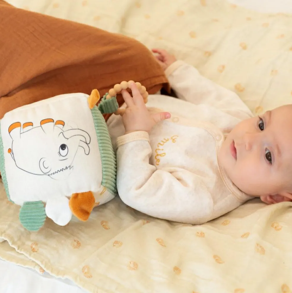 Cube d'activités Diplododo