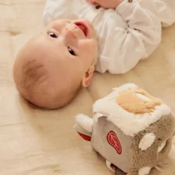 Cube d'activités Fluffy Orso et Lily