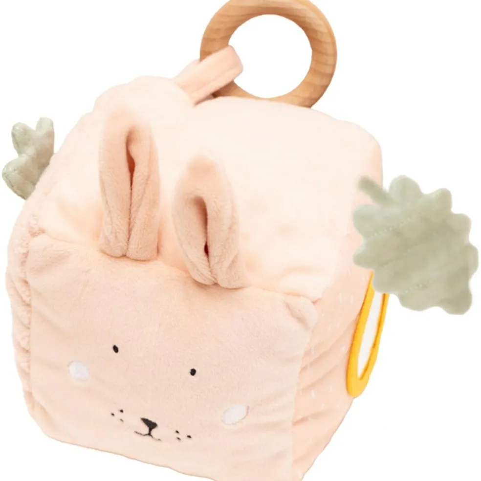 Cube d’activités Mrs. Rabbit