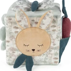 Cube d'activités Serengueti