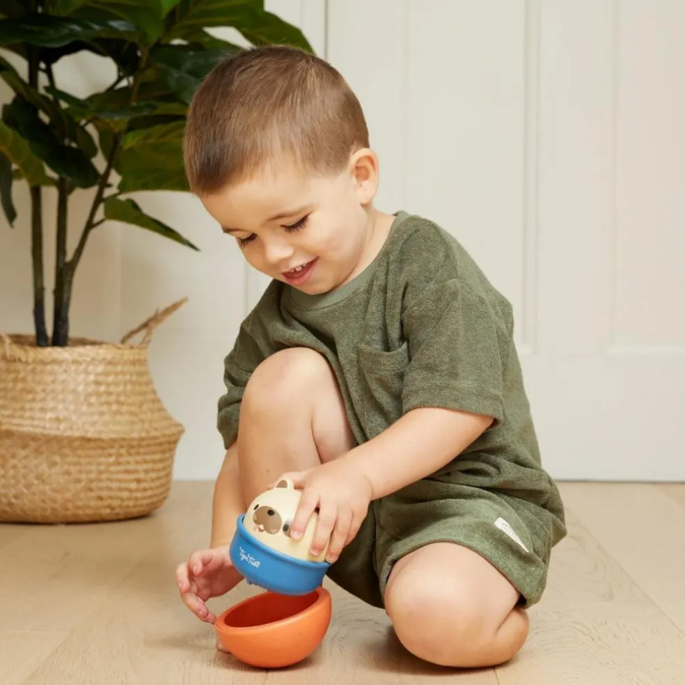 Culbuto et animal à friction chien