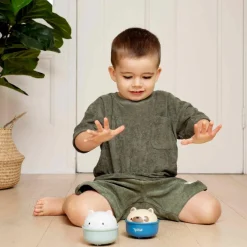 Culbuto et animal à friction chien