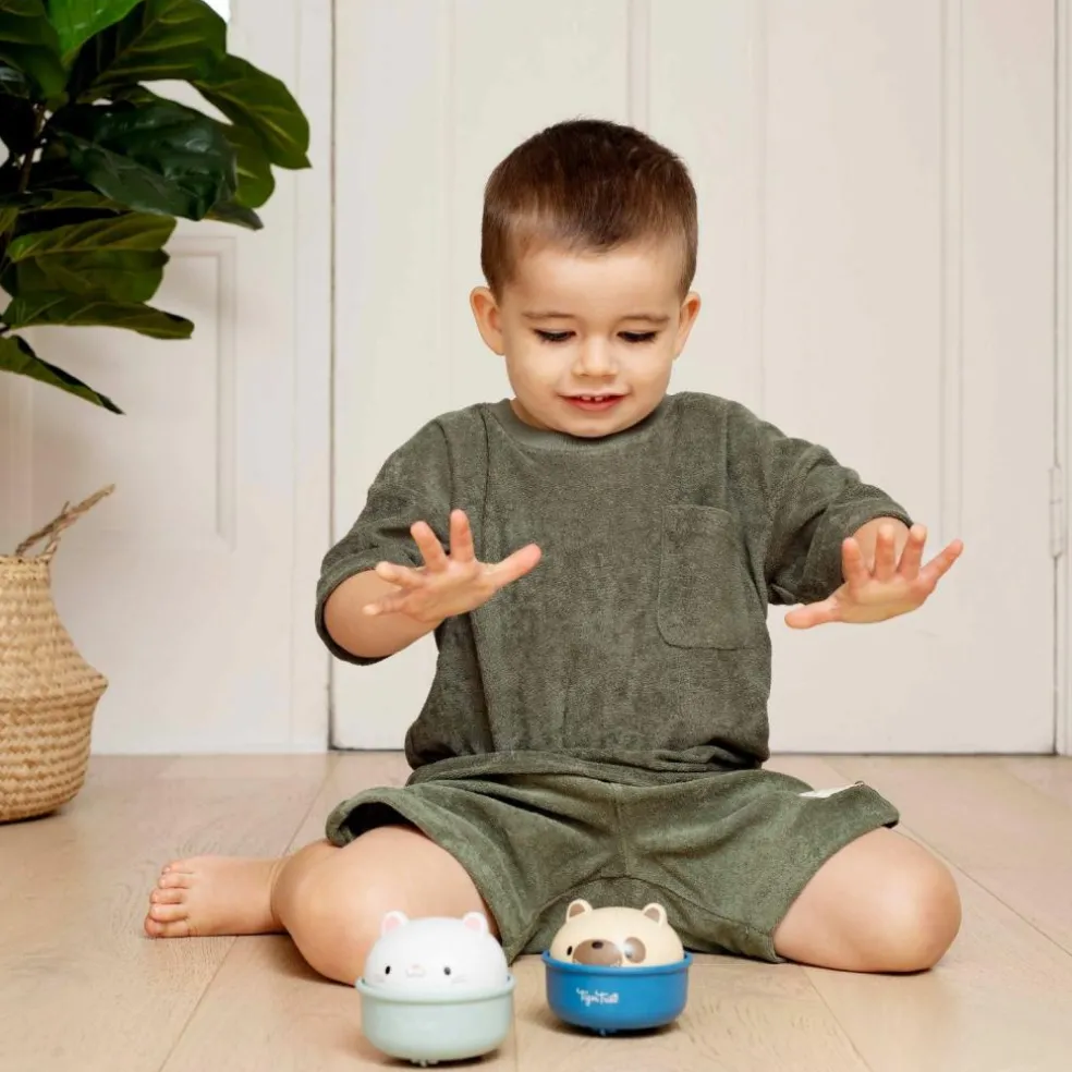 Culbuto et animal à friction chien