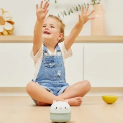 Culbuto et animal à friction chat