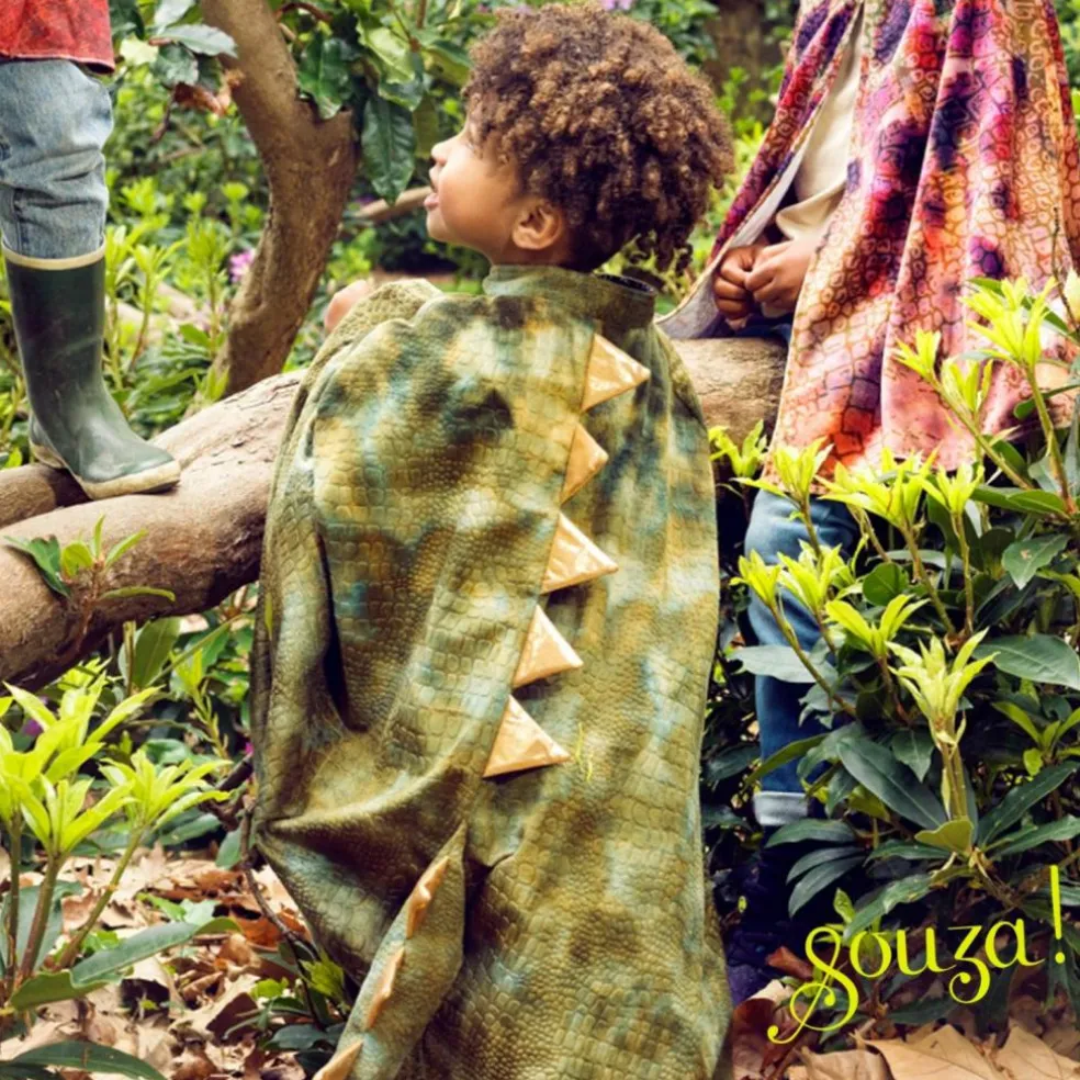 Déguisement cape dinosaure (4-7 ans)