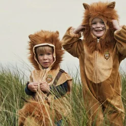 Déguisement de lion (2 ans)