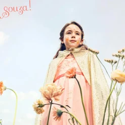 Déguisement Evelynn robe (3-4 ans)