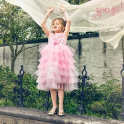 Déguisement Garance robe (3-4 ans)